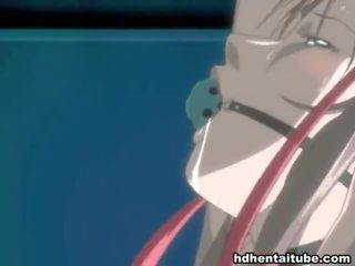 Μείγμα του βίντεο με hentai κόγχες