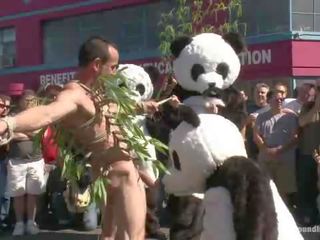 Nagi pandas sztuczka lub leczyć tylko w czas na halloween